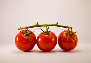 Farm Tomato